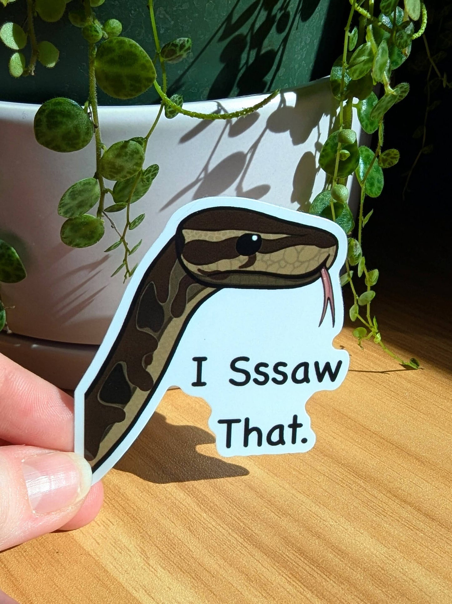 I Sssaw That Snake Sticker