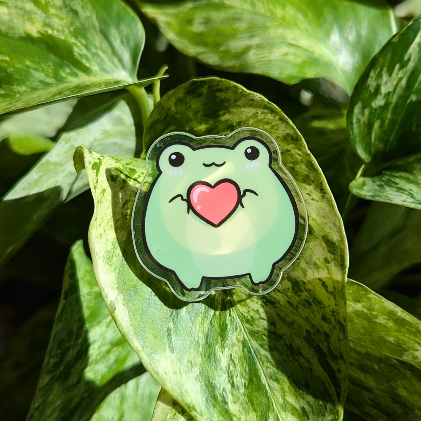 Lovely Froggy Pin