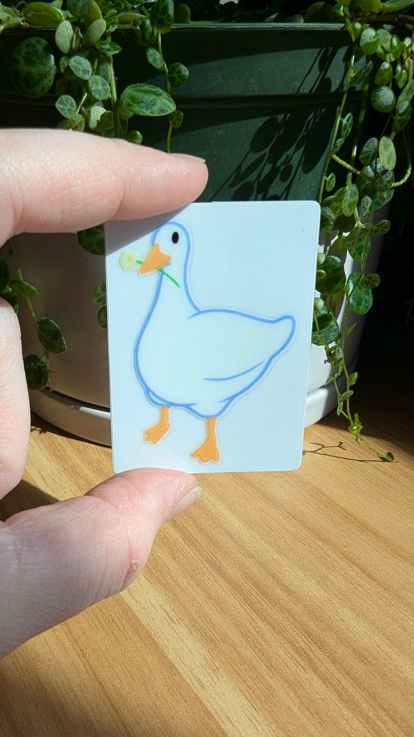 Gentle Goose Sticker